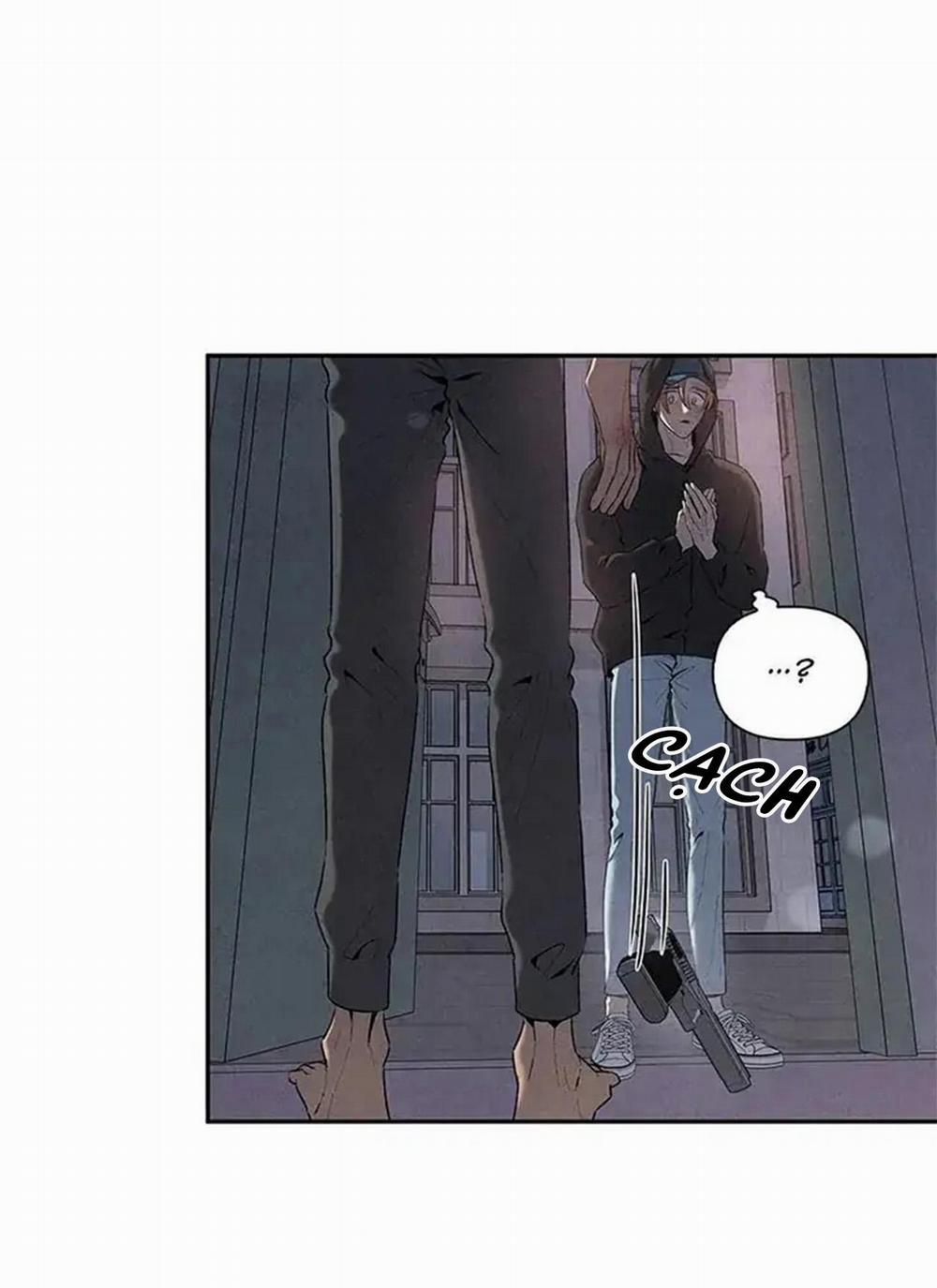 Bona Sort 56 trang 35