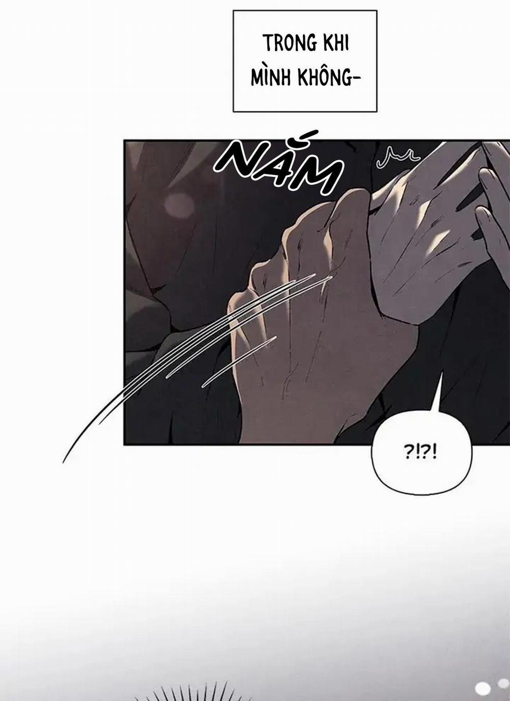 Bona Sort 56 trang 37