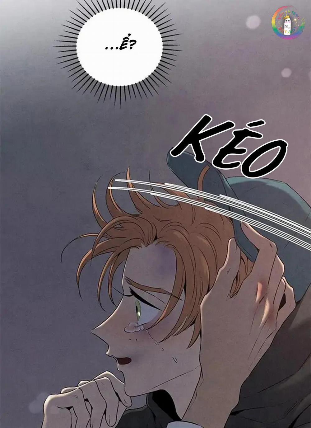 Bona Sort 56 trang 38