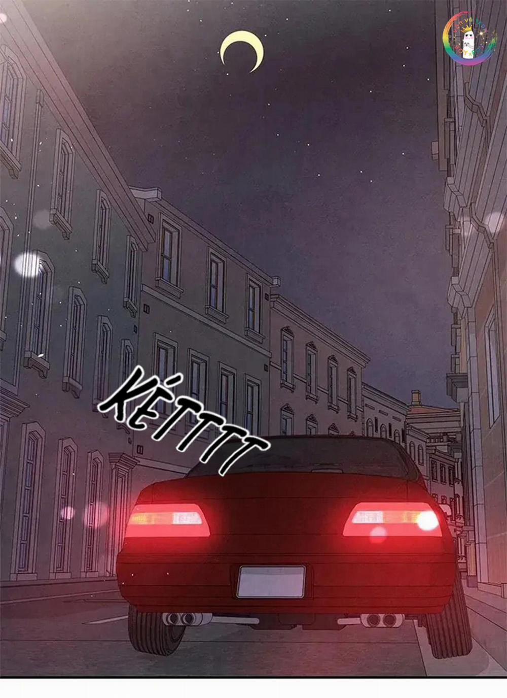 Bona Sort 56 trang 4