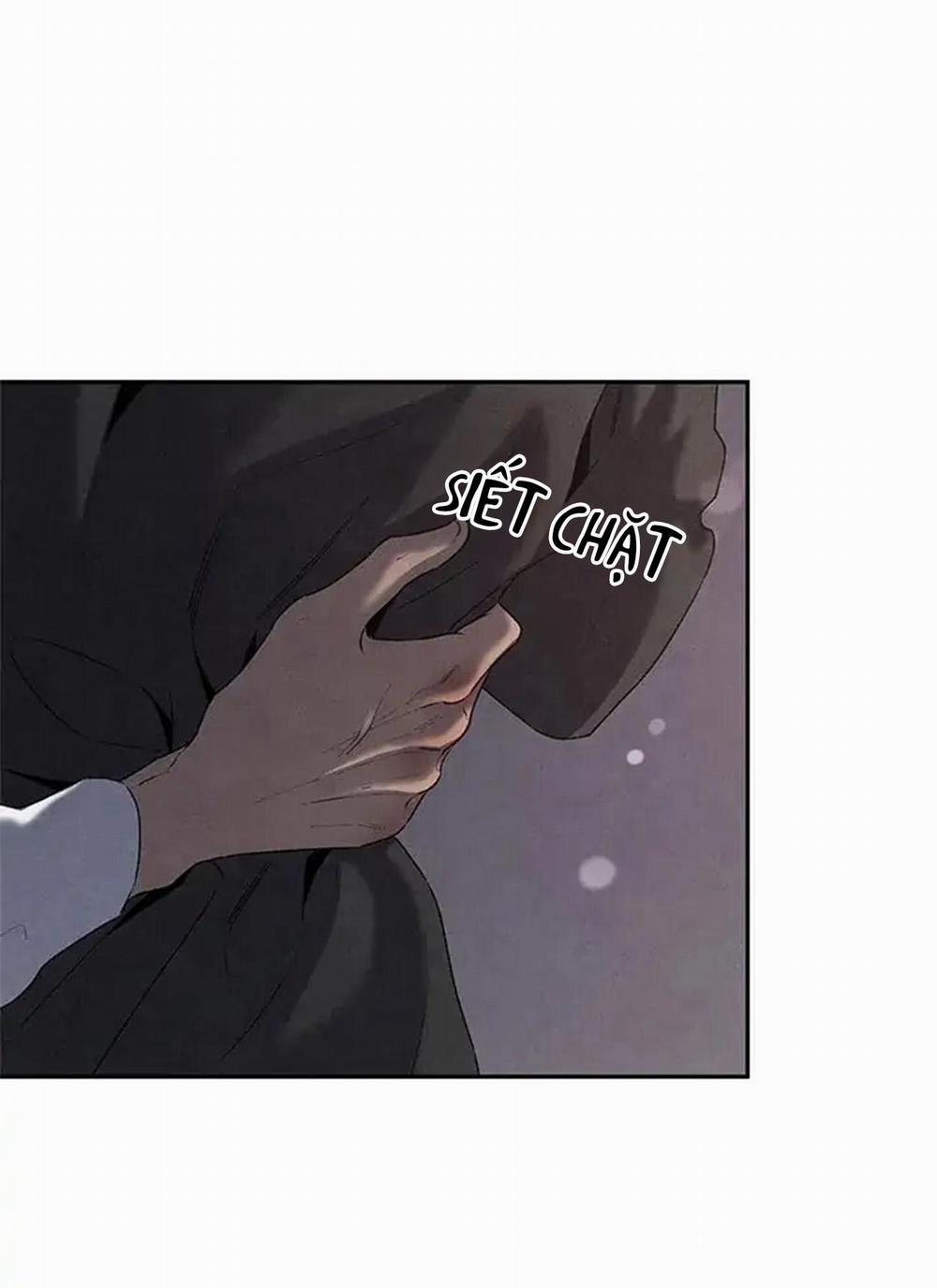 Bona Sort 56 trang 43