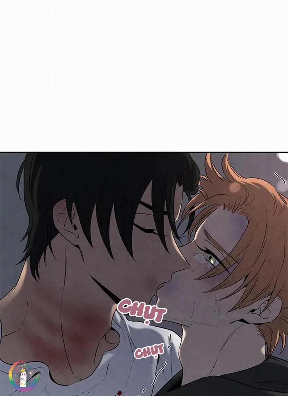 Bona Sort 56 trang 44