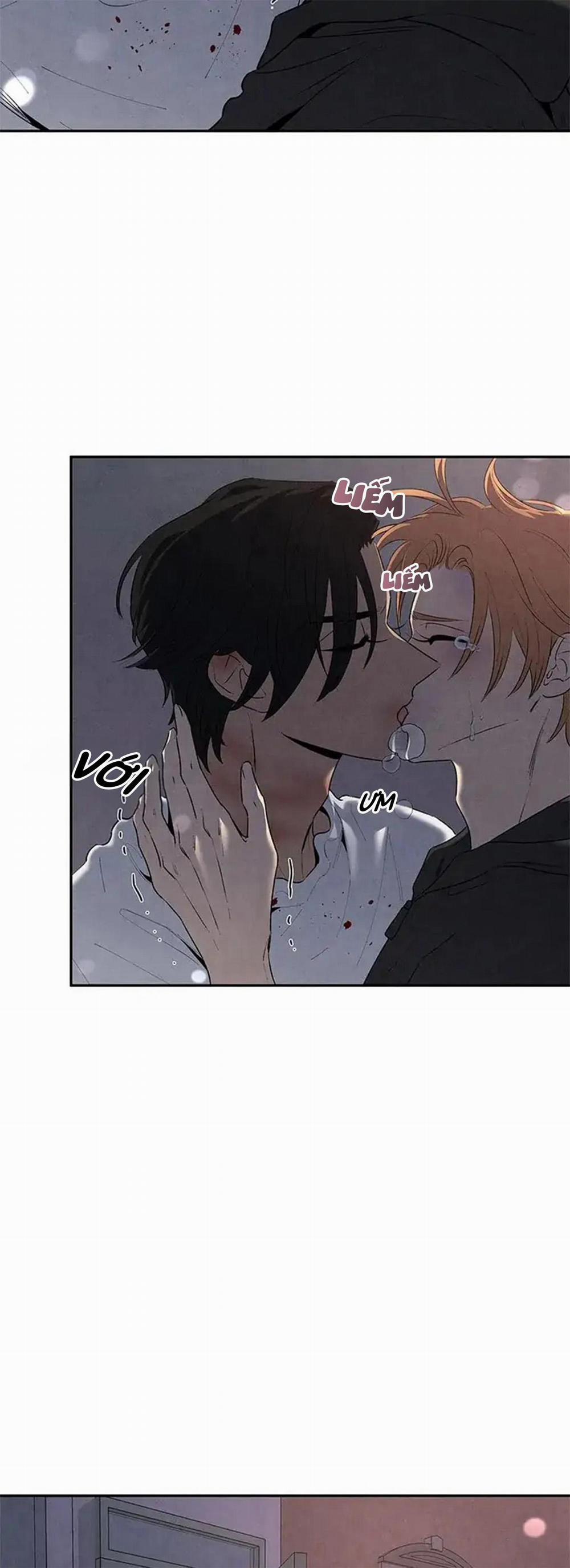 Bona Sort 56 trang 45