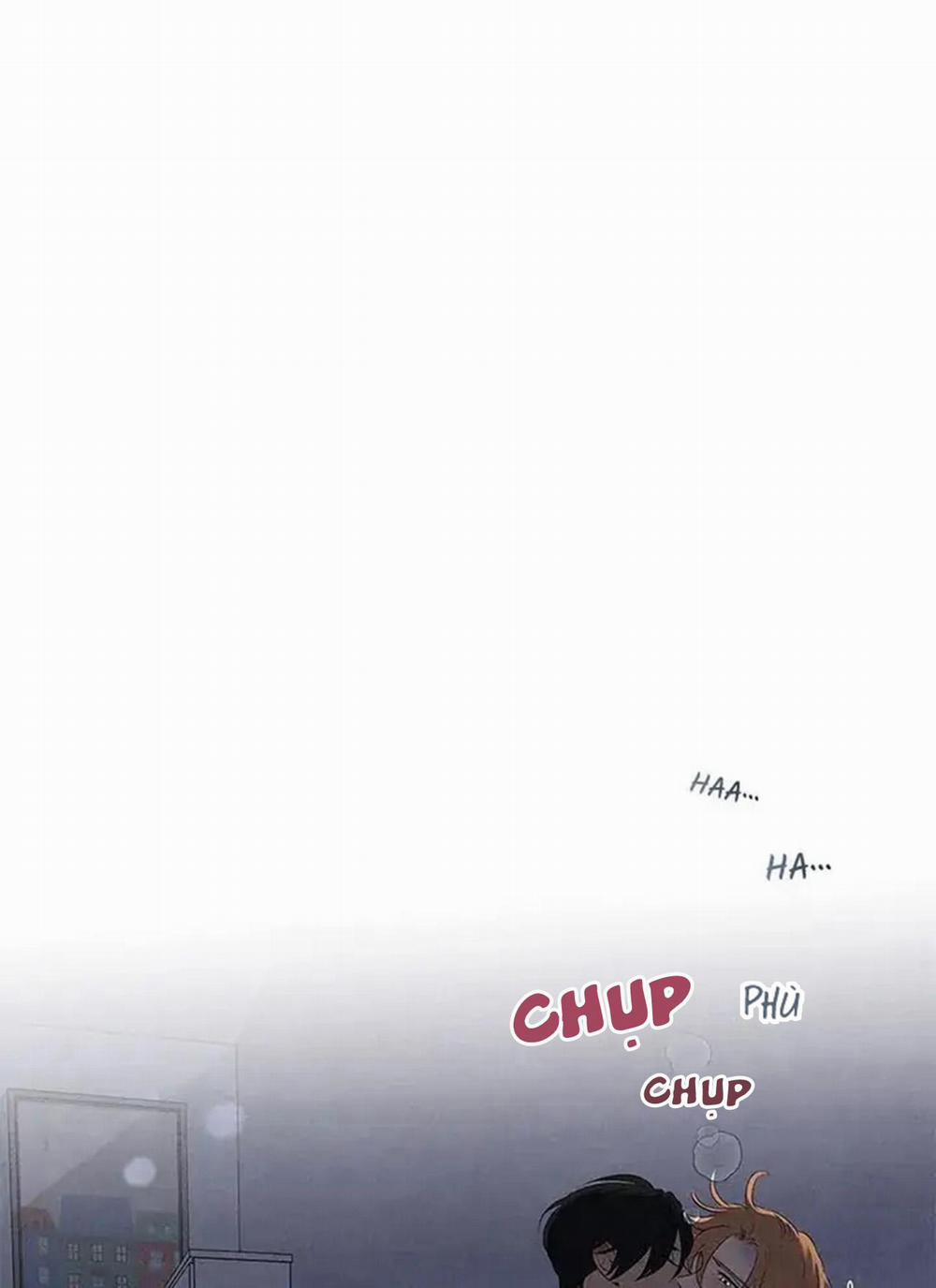 Bona Sort 56 trang 48