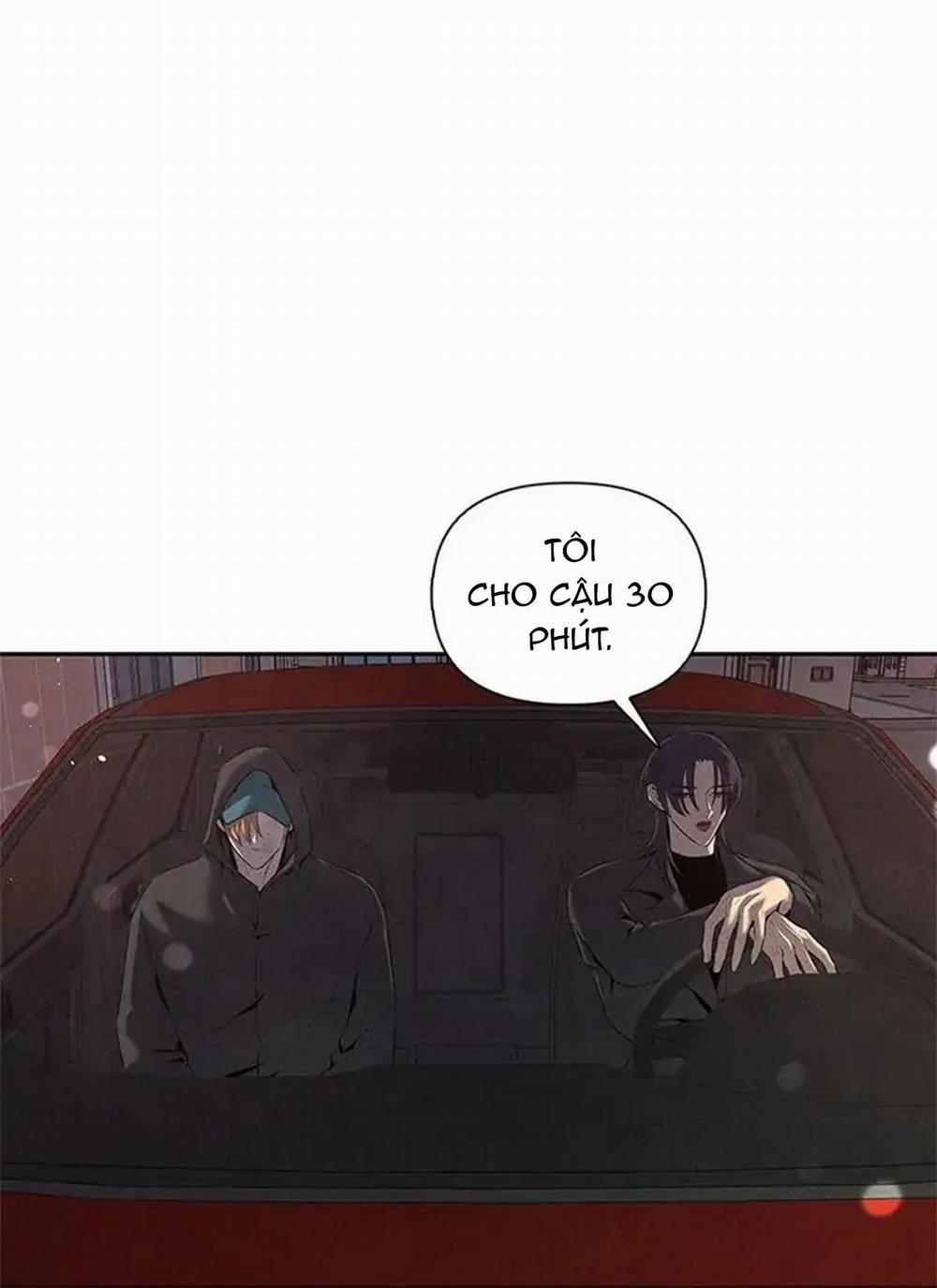 Bona Sort 56 trang 5