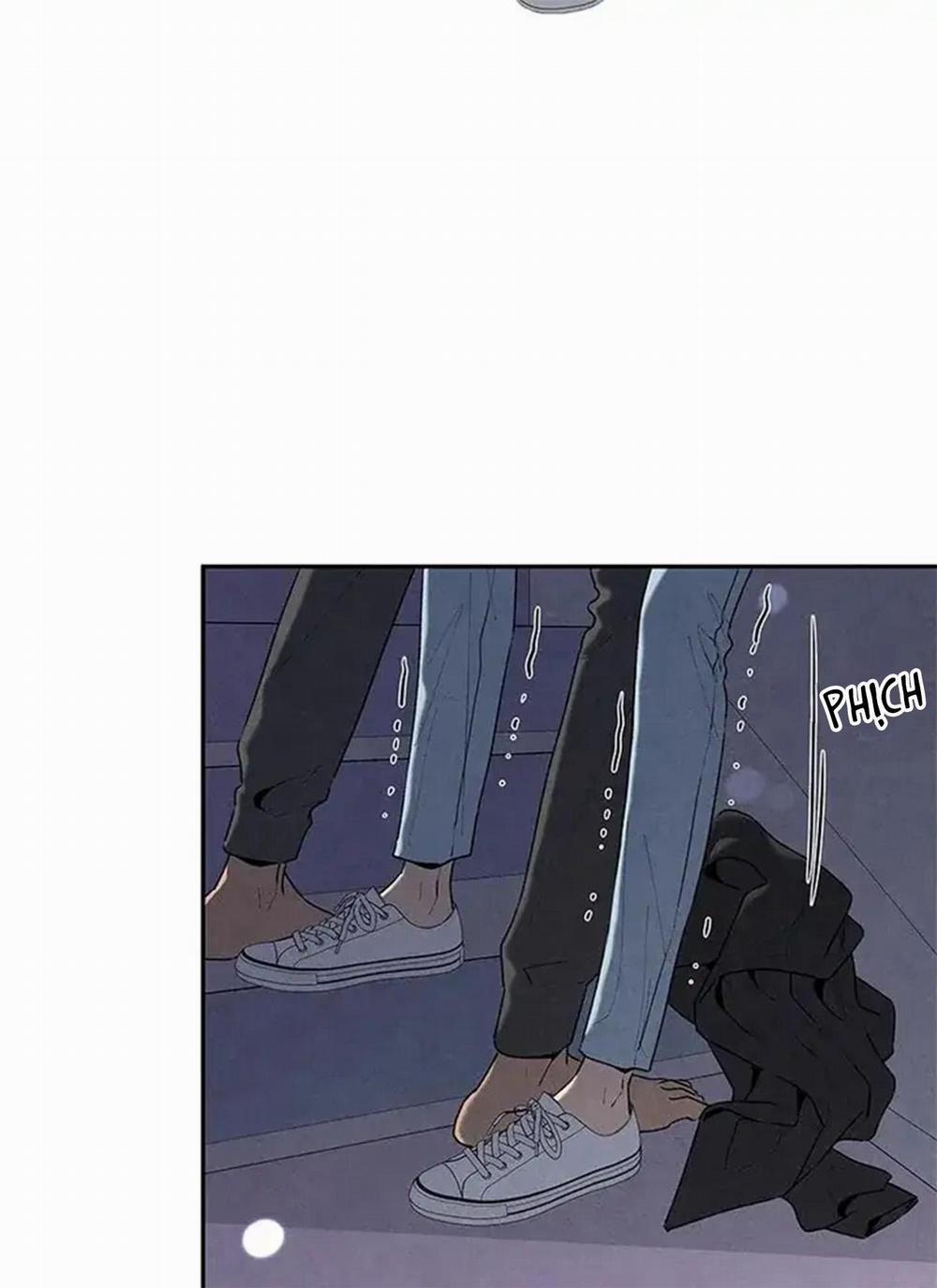 Bona Sort 56 trang 50