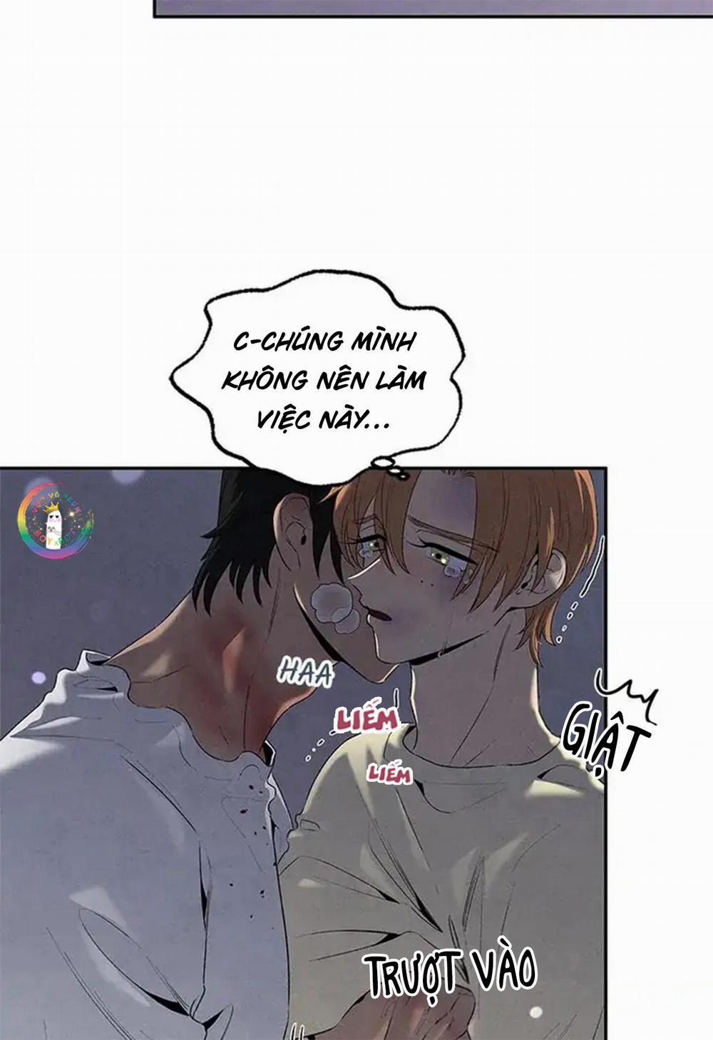 Bona Sort 56 trang 51