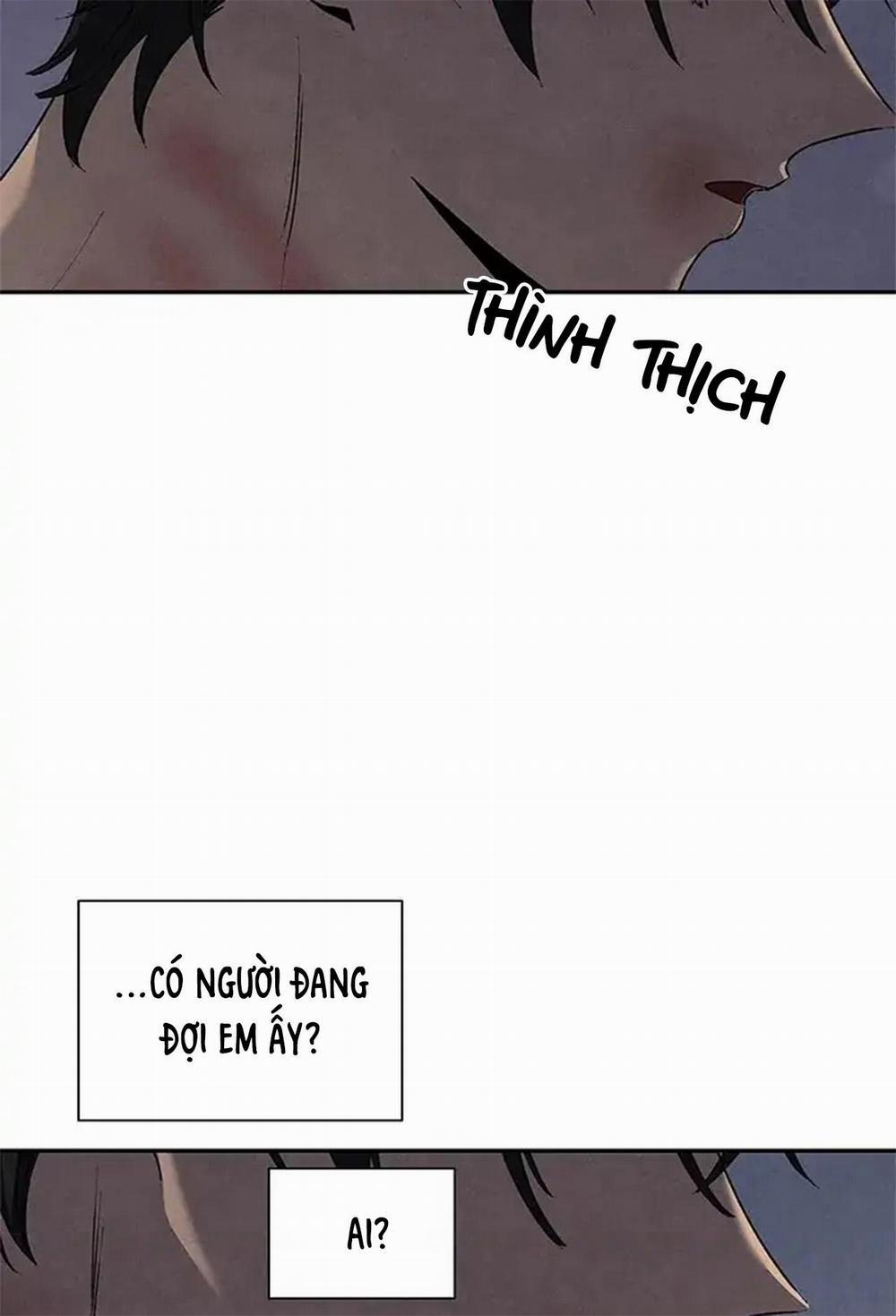 Bona Sort 56 trang 55