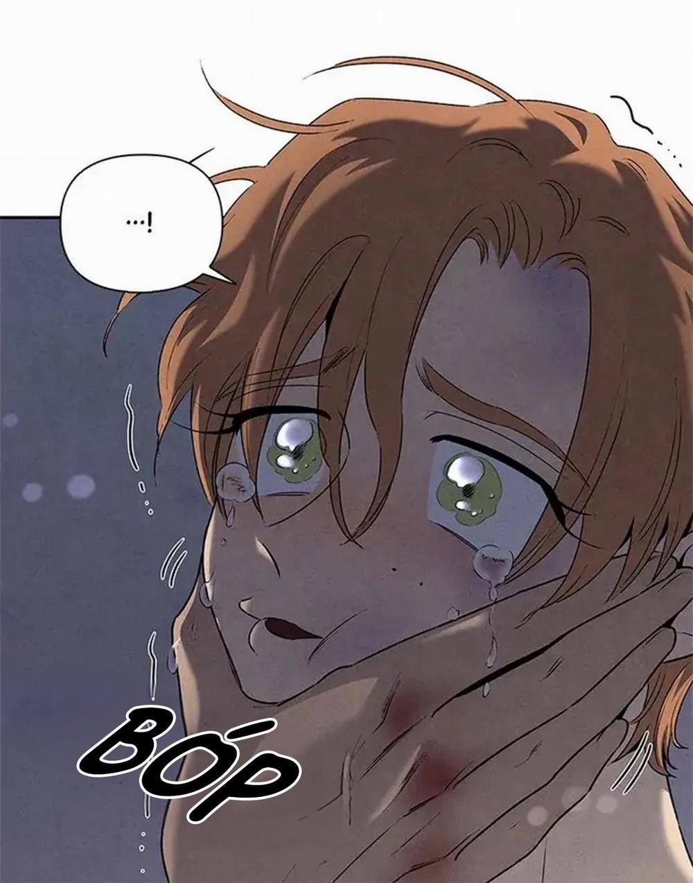 Bona Sort 56 trang 60