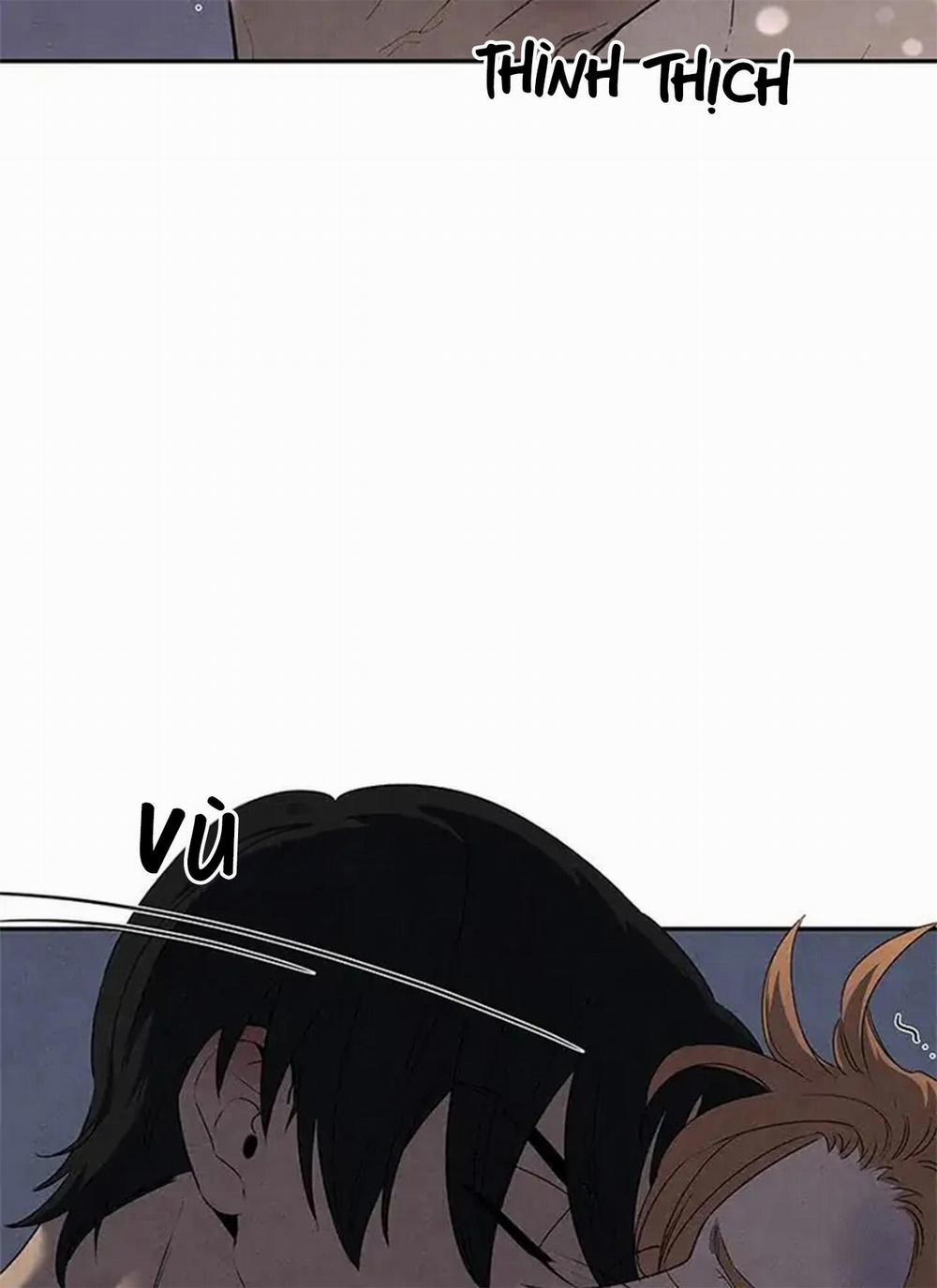 Bona Sort 56 trang 61