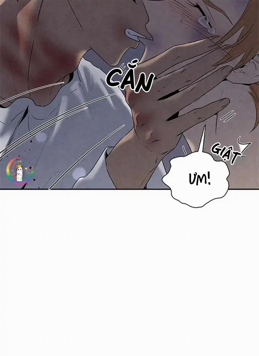 Bona Sort 56 trang 62