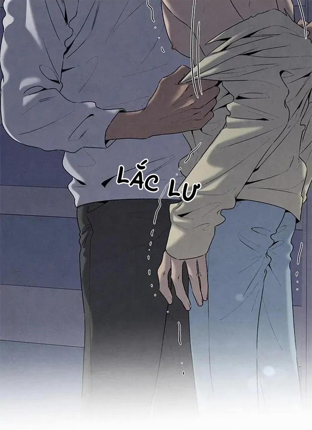 Bona Sort 56 trang 66