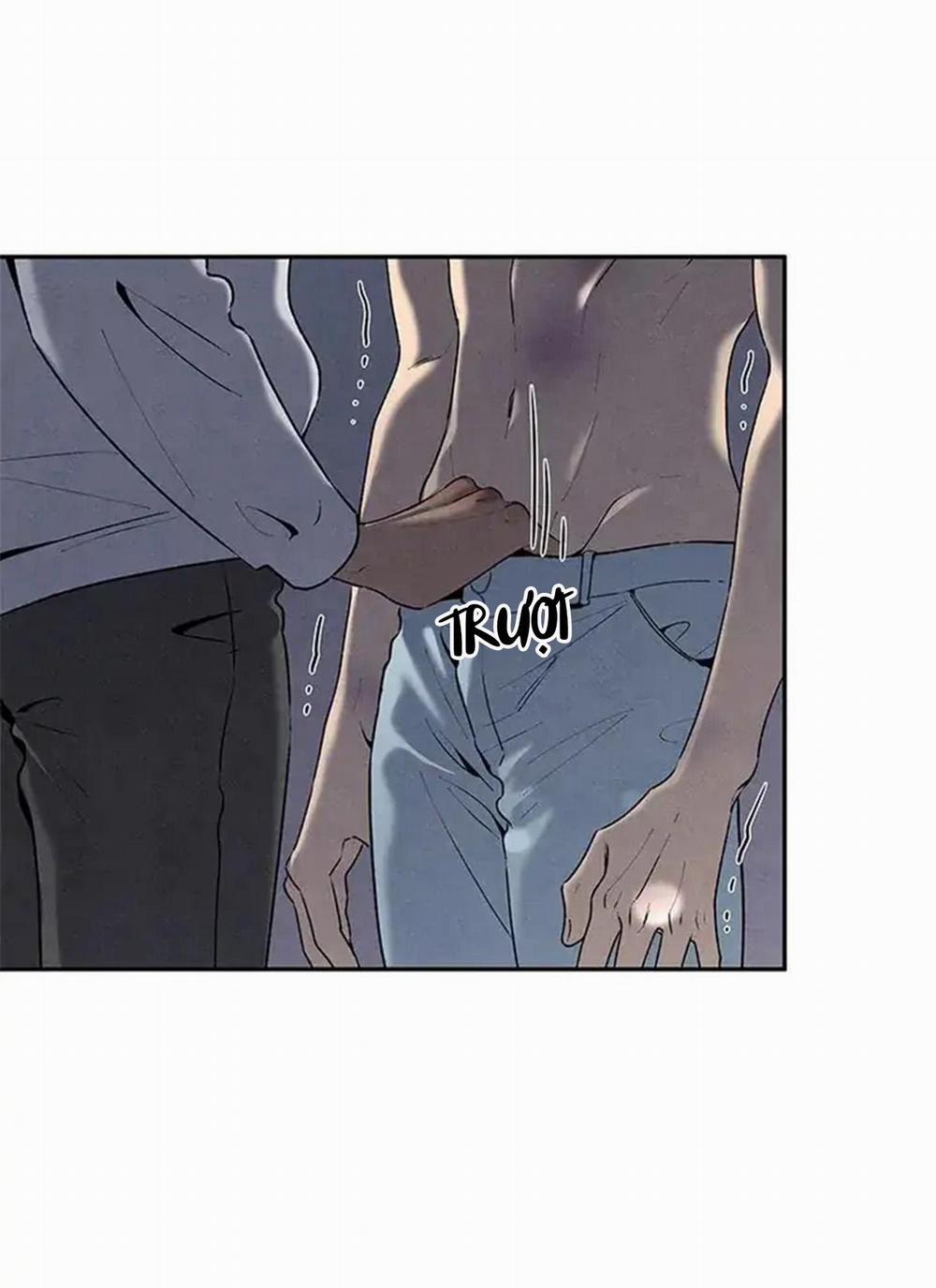 Bona Sort 56 trang 68