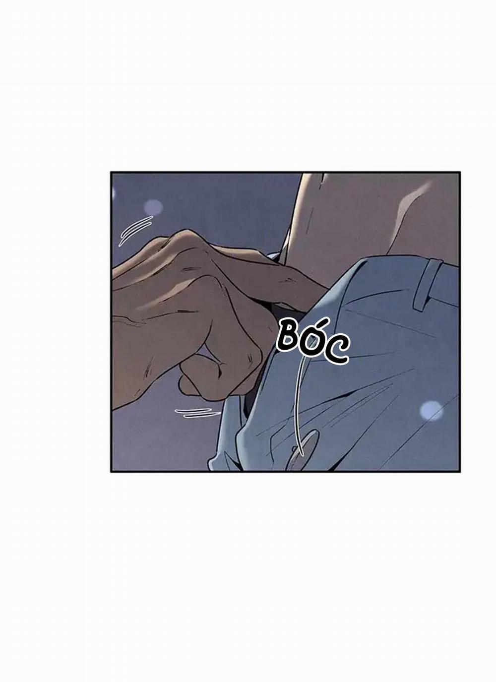 Bona Sort 56 trang 69