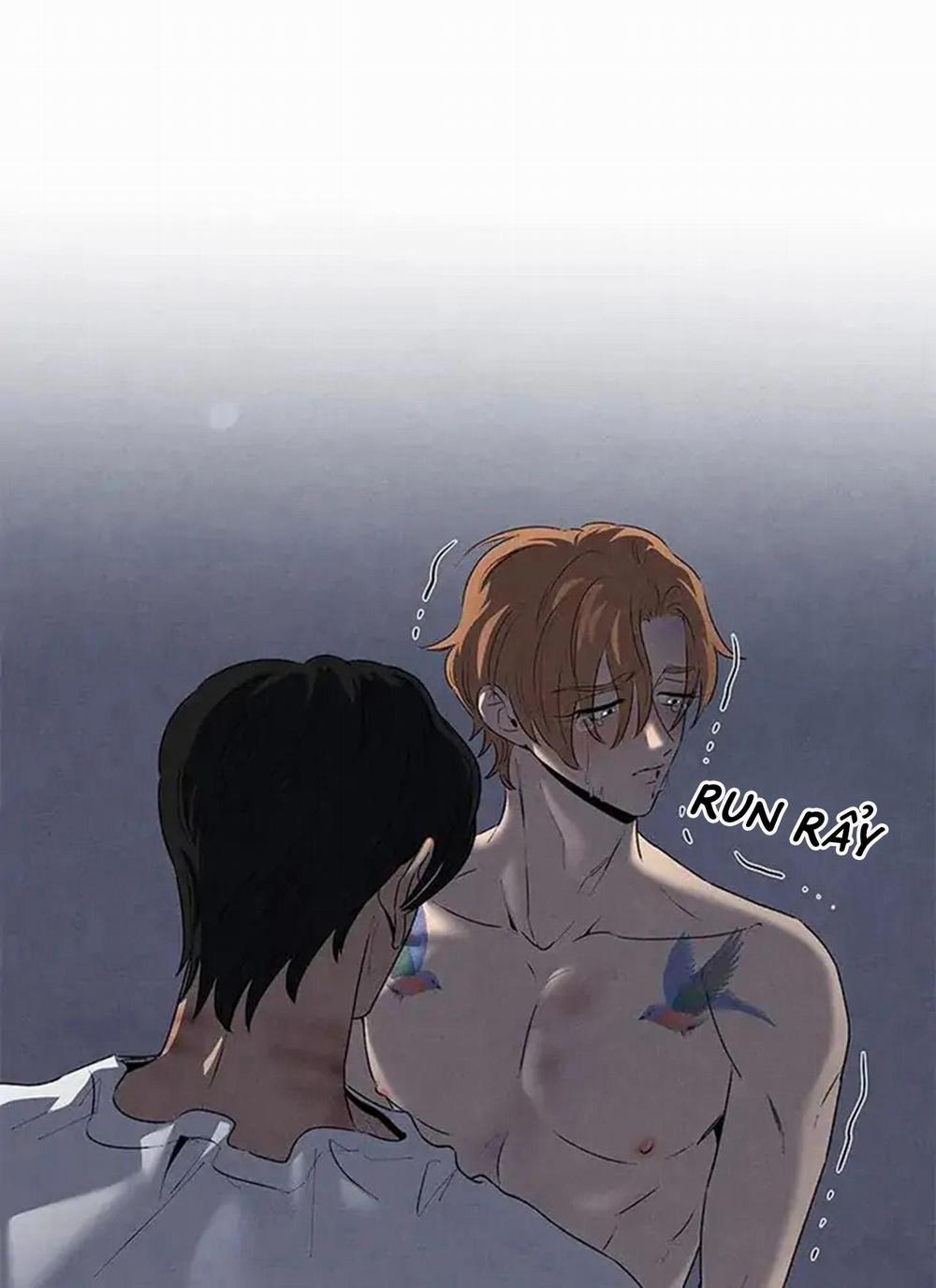 Bona Sort 56 trang 73