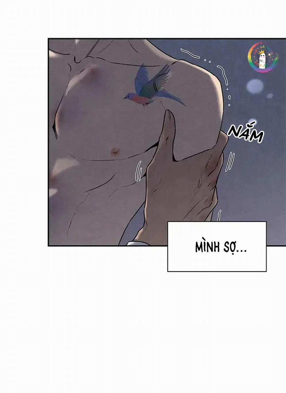 Bona Sort 56 trang 75