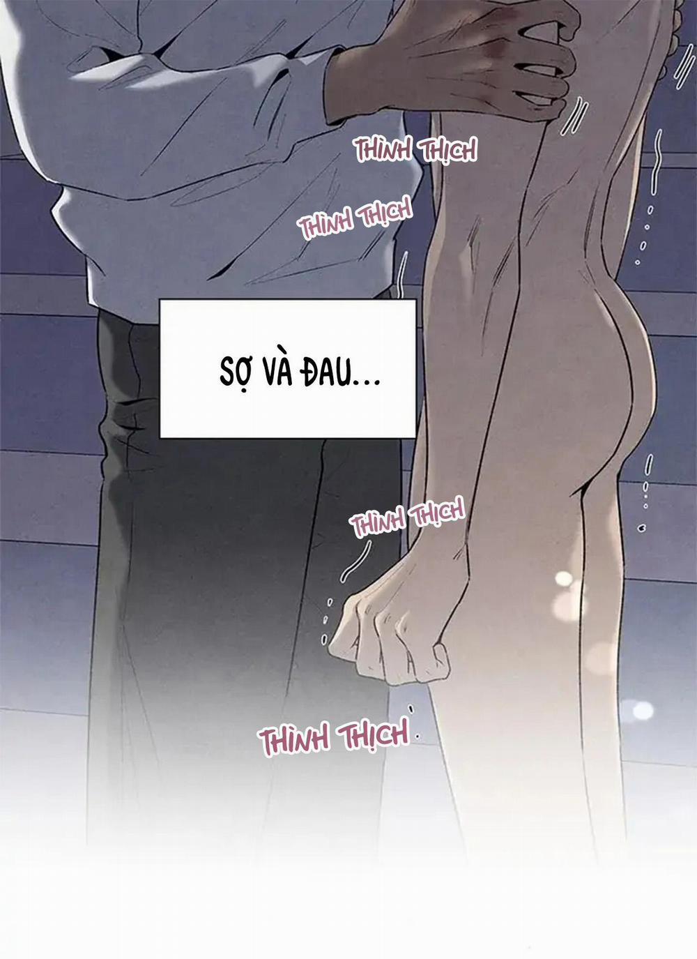 Bona Sort 56 trang 77