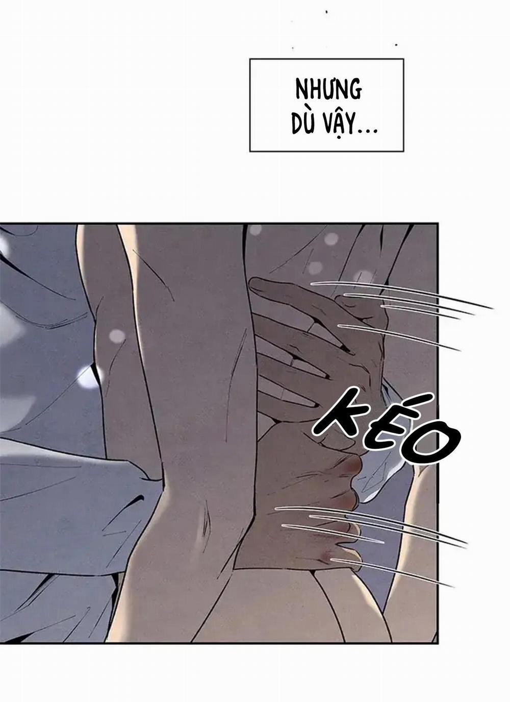 Bona Sort 56 trang 78