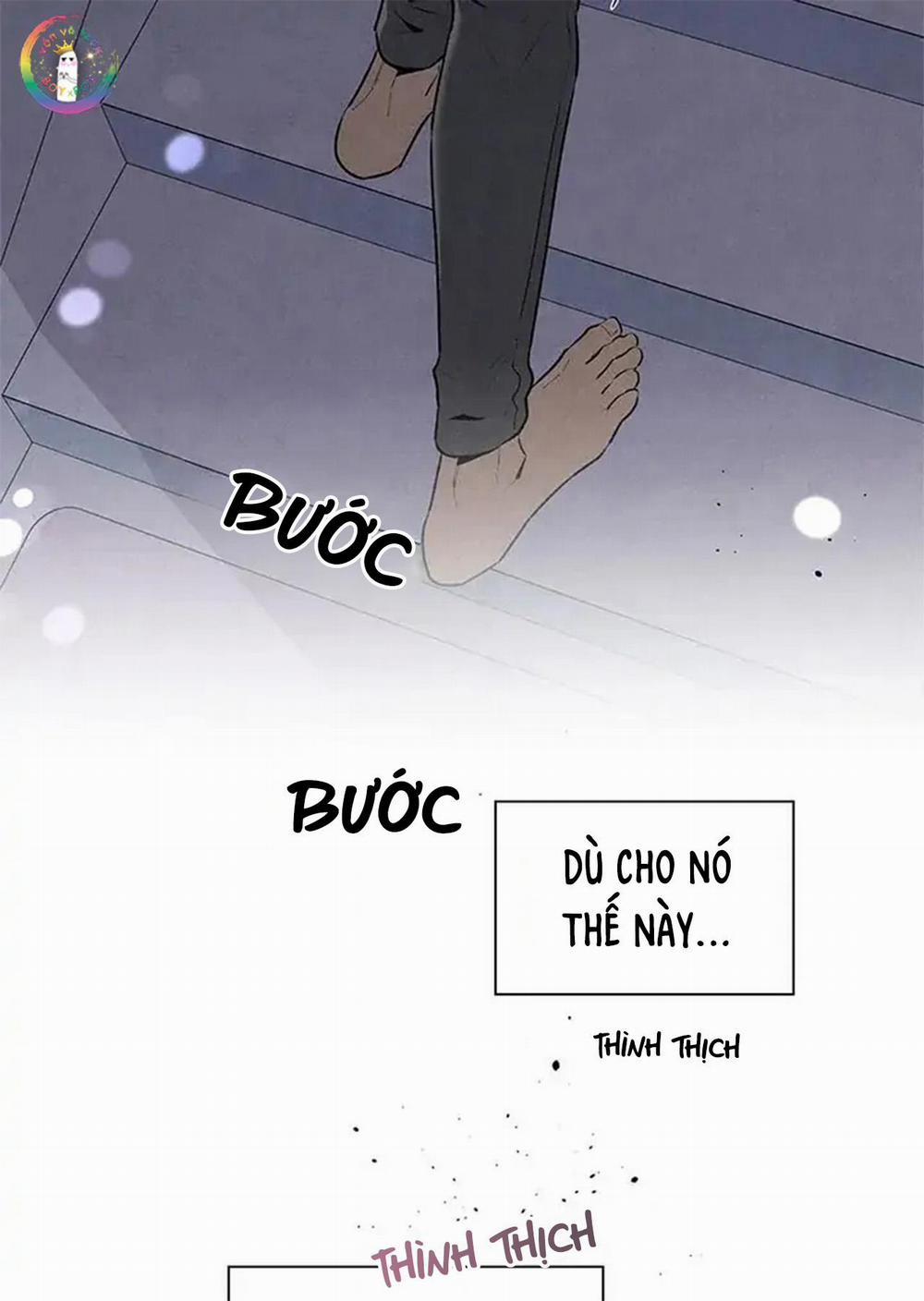 Bona Sort 56 trang 81