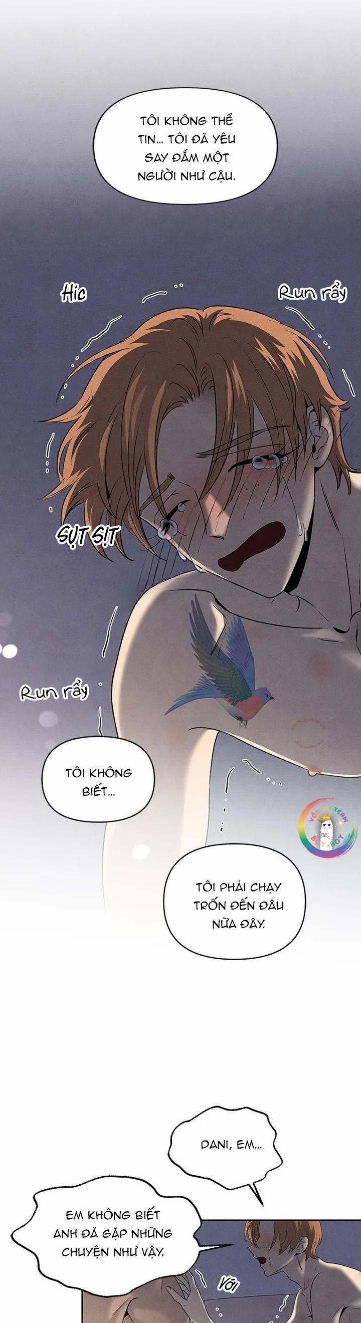 Bona Sort 58 trang 23