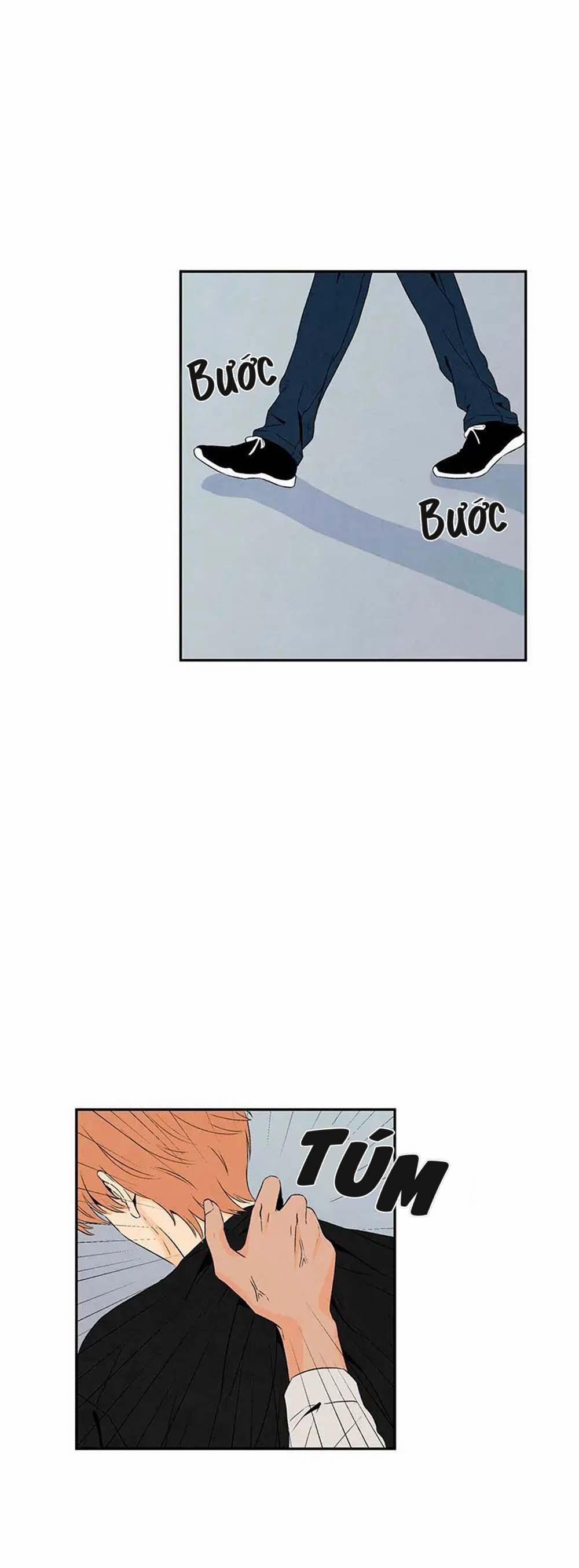 Bona Sort 6 trang 17