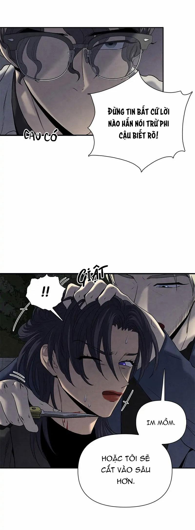 Bona Sort 60 trang 16