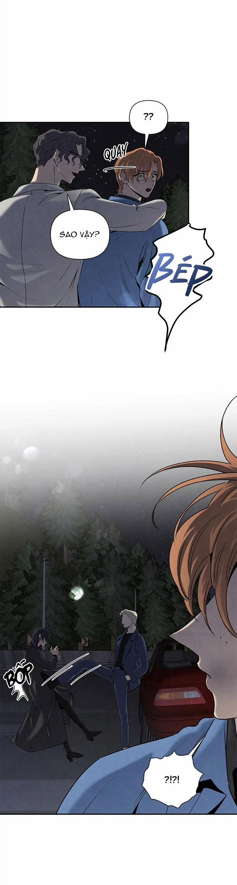 Bona Sort 60 trang 41