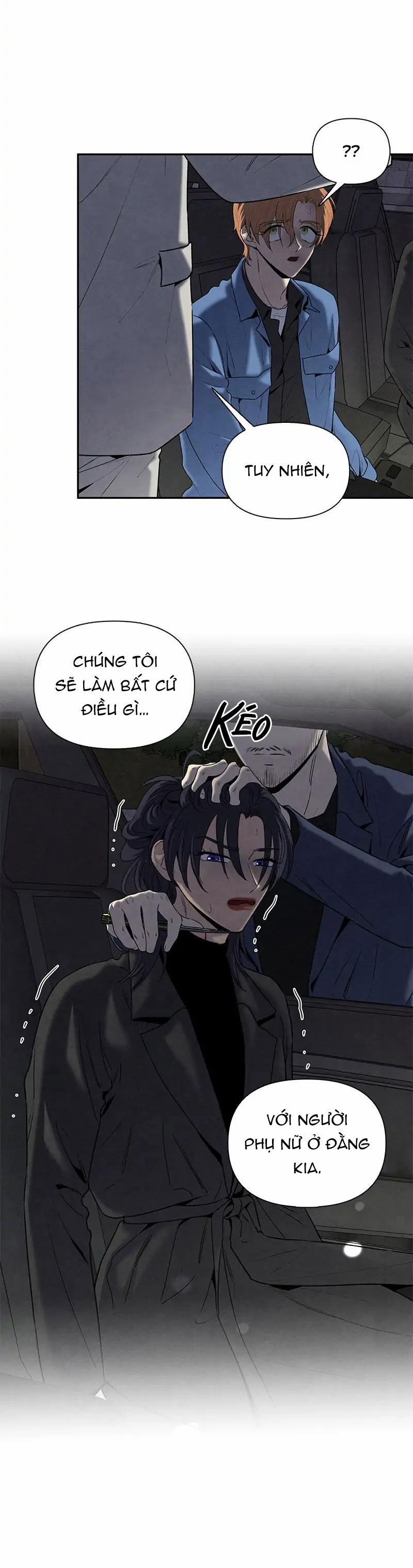 Bona Sort 60 trang 8