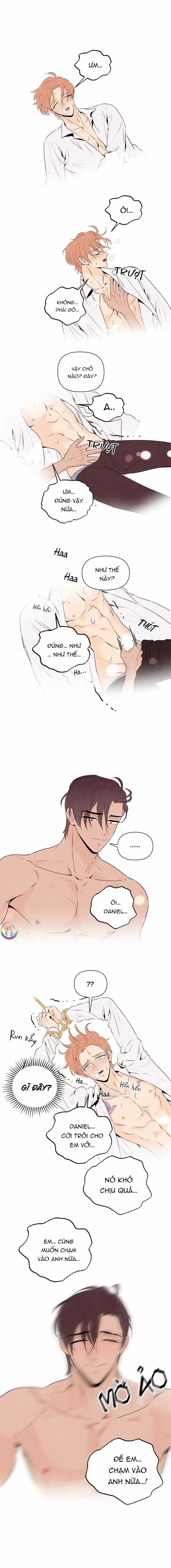 Bona Sort 62 trang 8