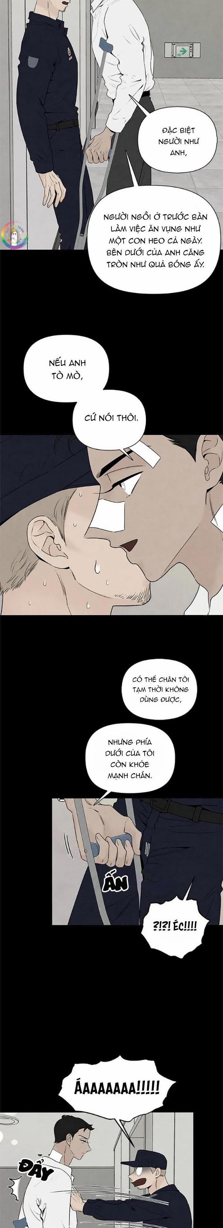 Bona Sort 63 trang 17