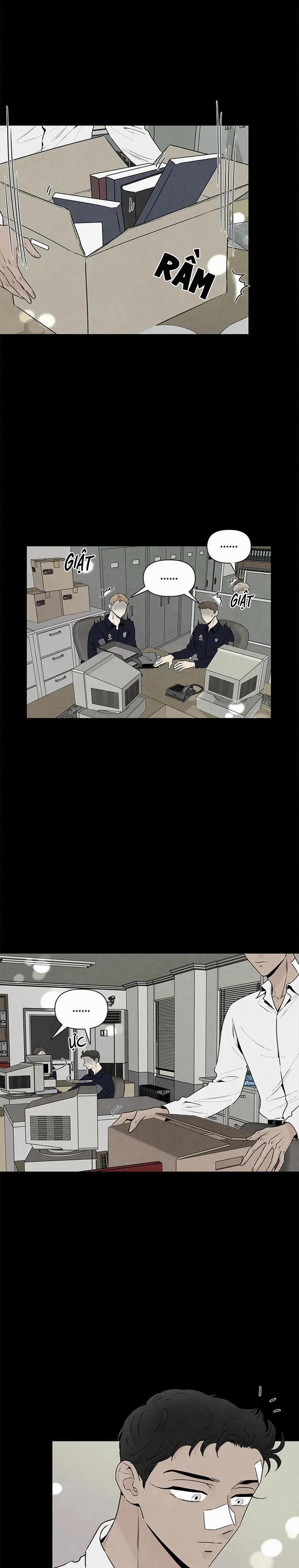 Bona Sort 63 trang 20