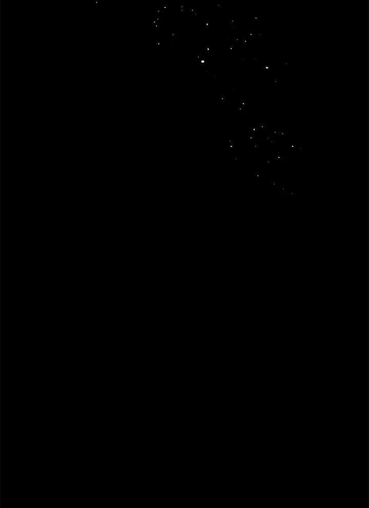 Bona Sort 65 trang 21