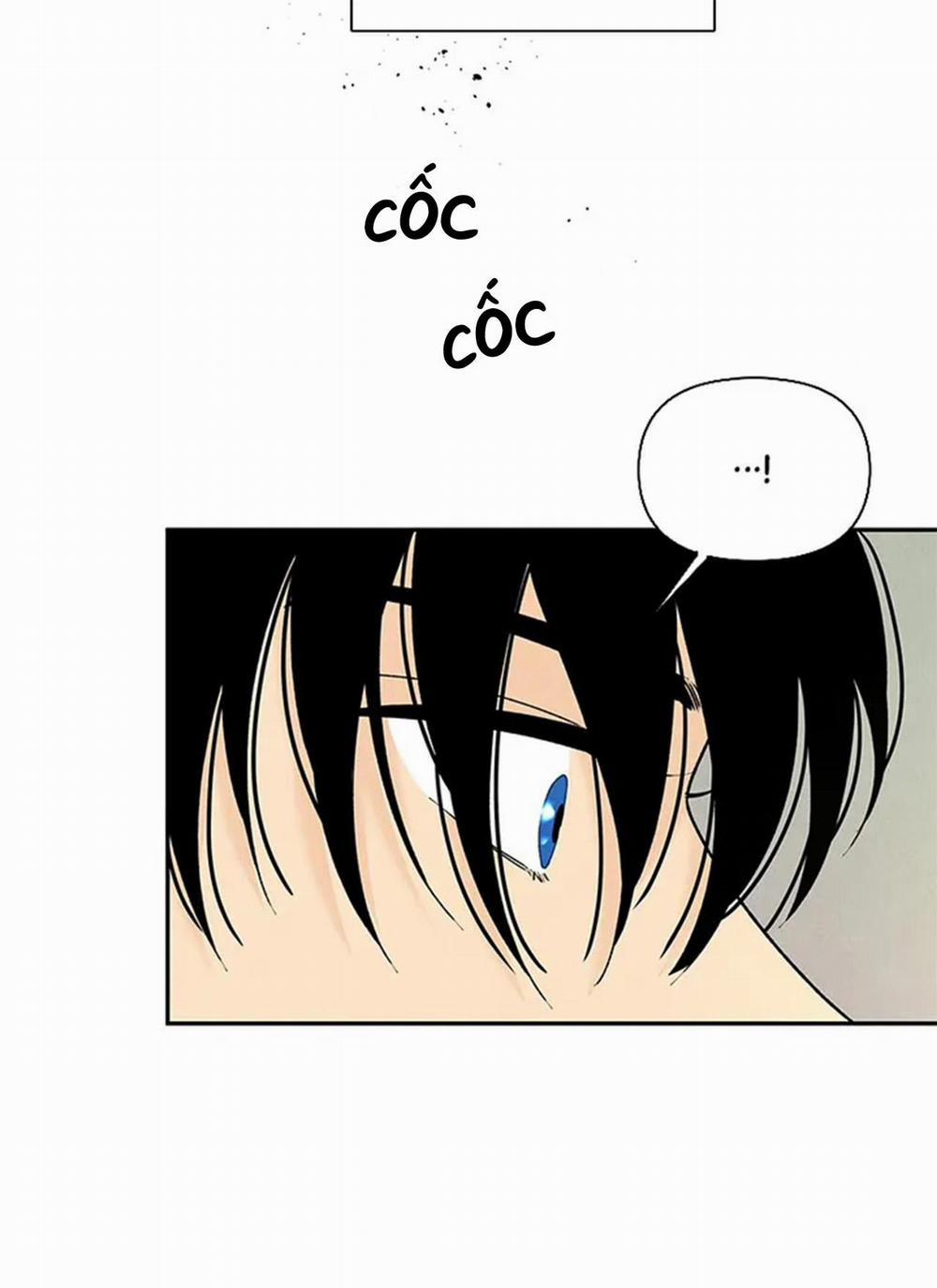 Bona Sort 65 trang 27