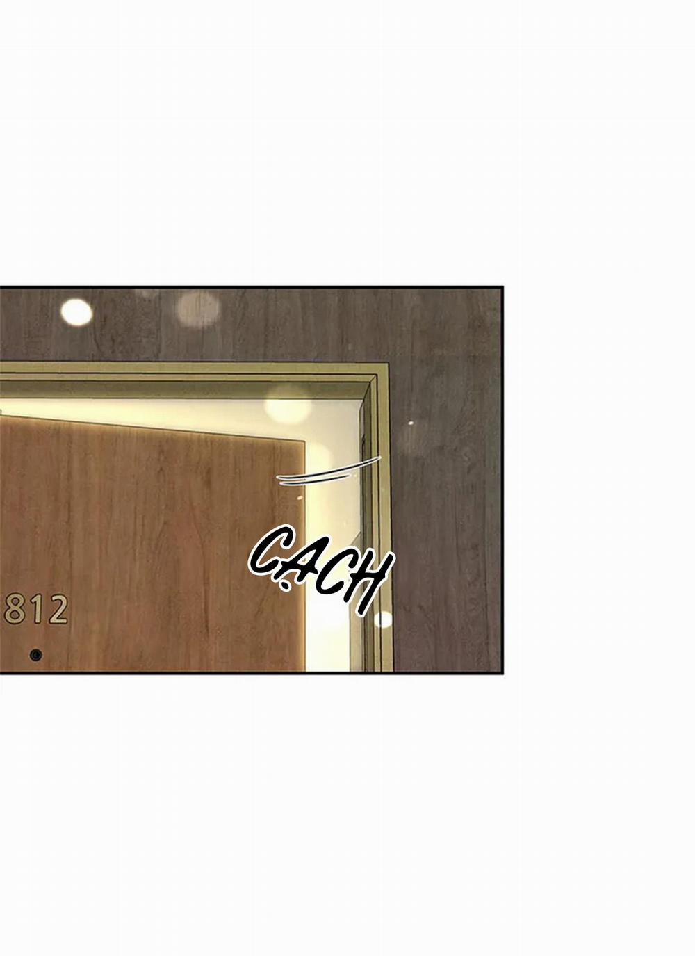 Bona Sort 65 trang 28