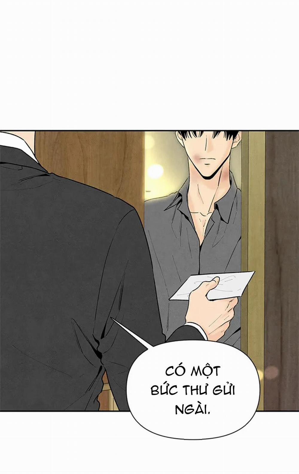 Bona Sort 65 trang 29