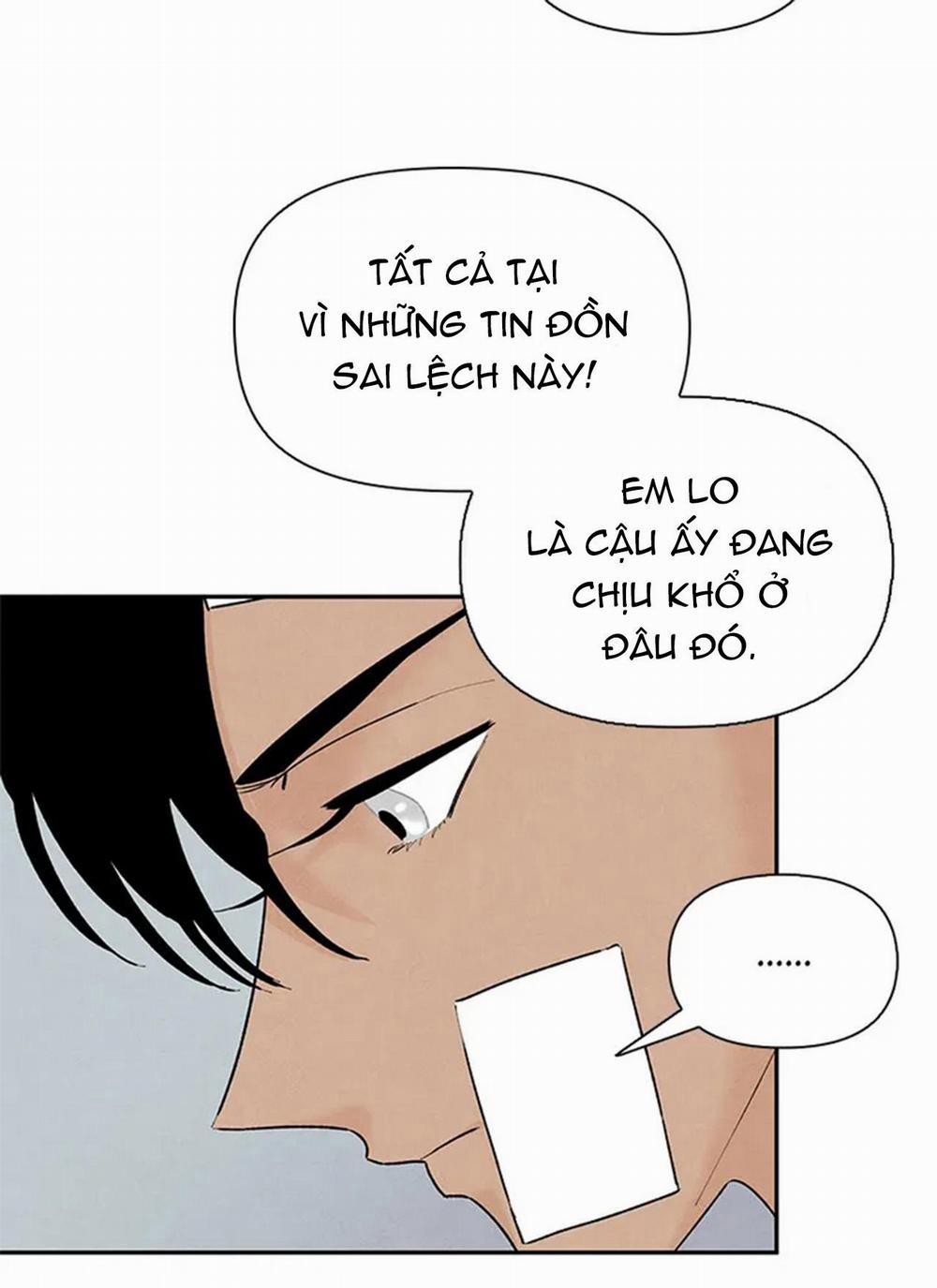 Bona Sort 65 trang 38