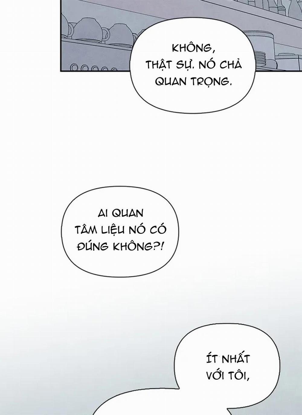 Bona Sort 65 trang 41