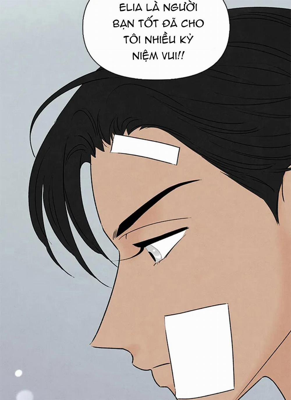 Bona Sort 65 trang 42