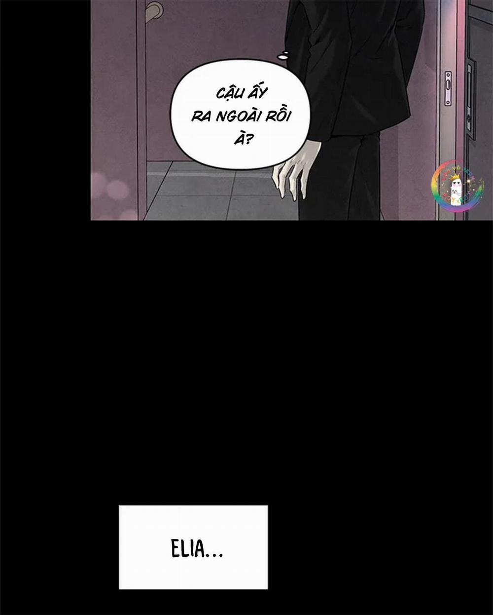 Bona Sort 65 trang 5