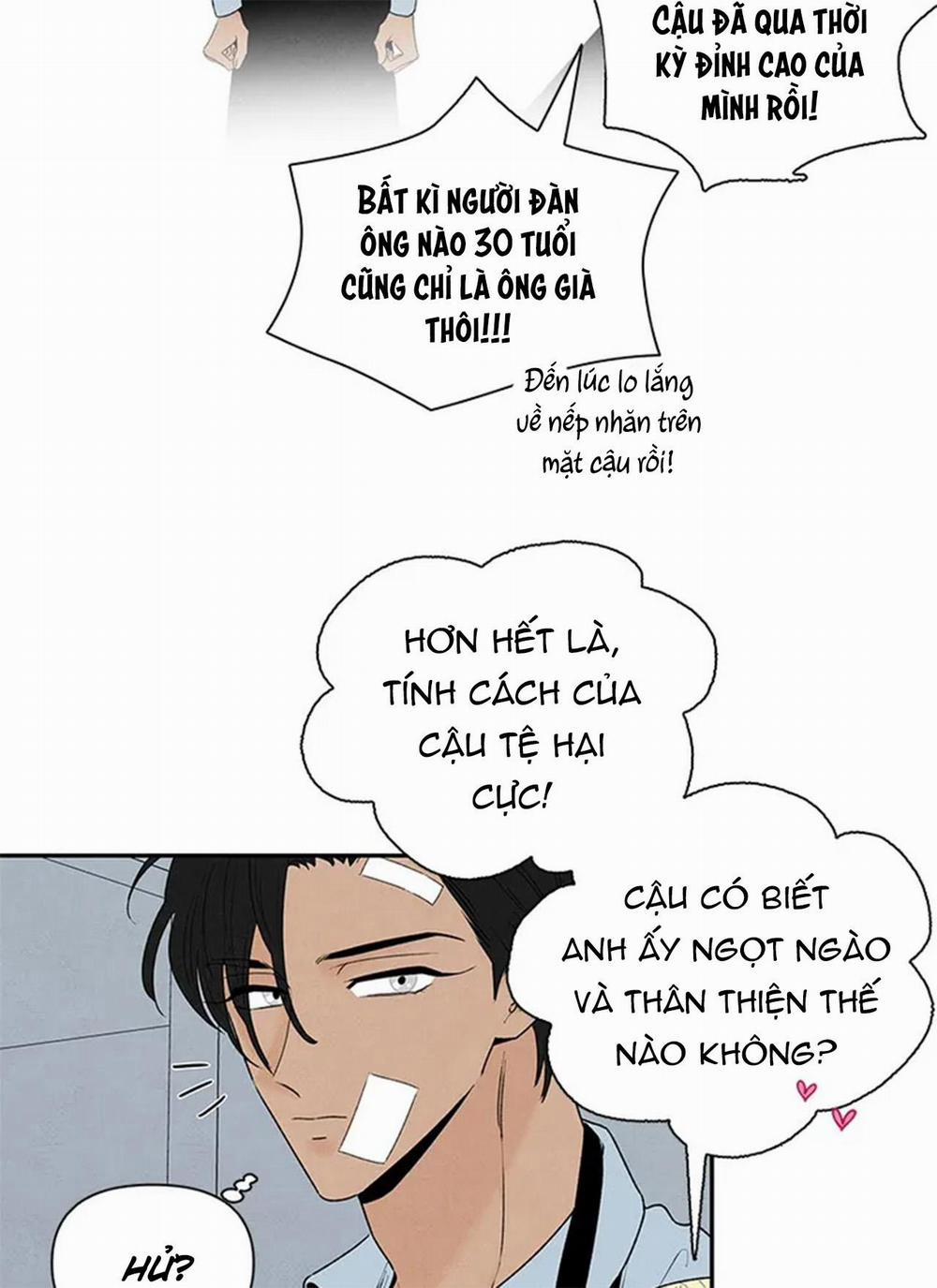 Bona Sort 65 trang 50