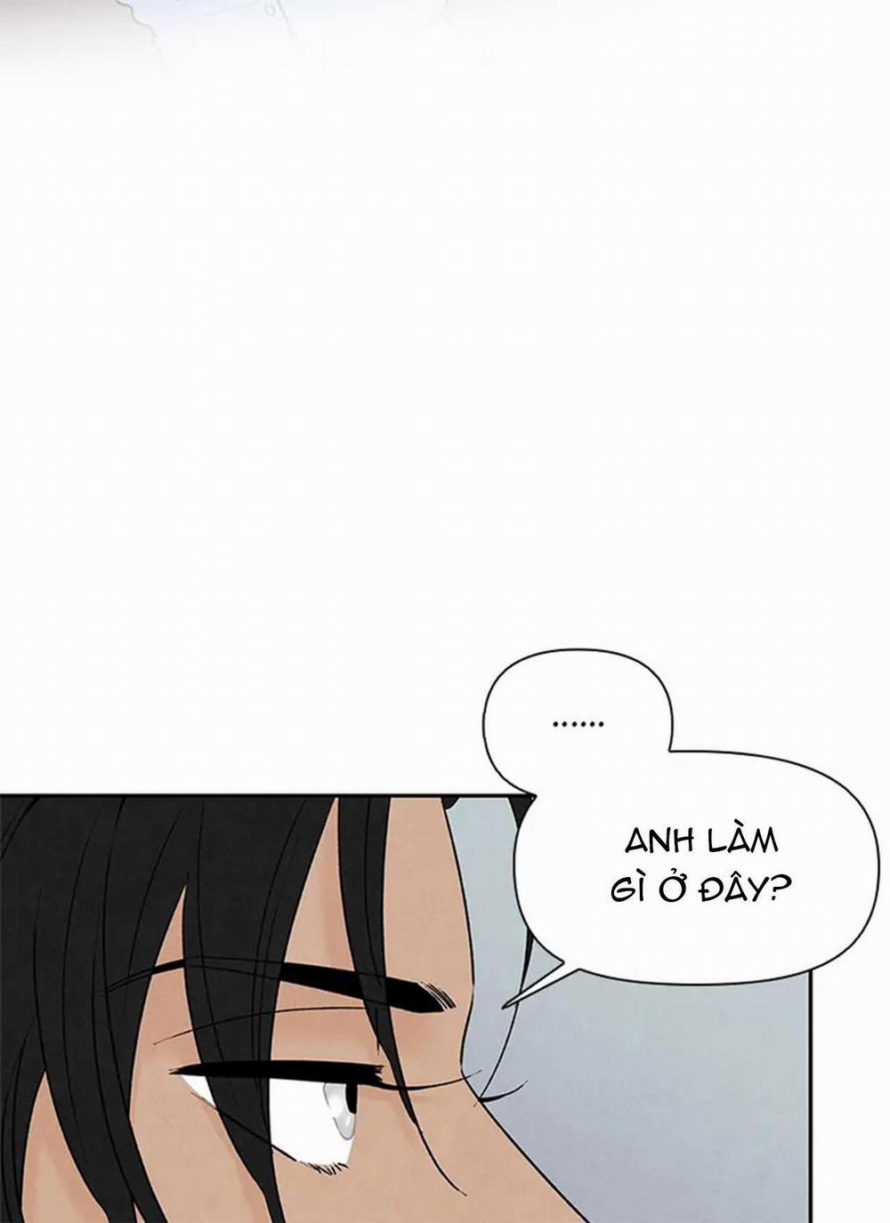 Bona Sort 65 trang 54