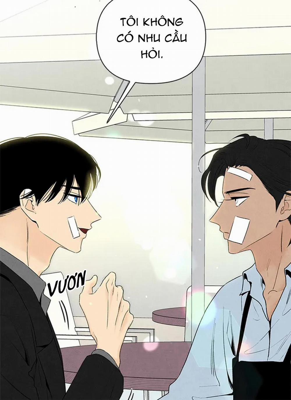 Bona Sort 65 trang 67