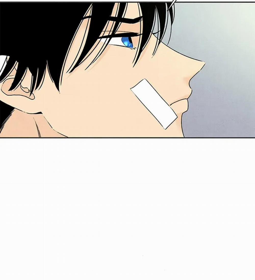 Bona Sort 65 trang 78