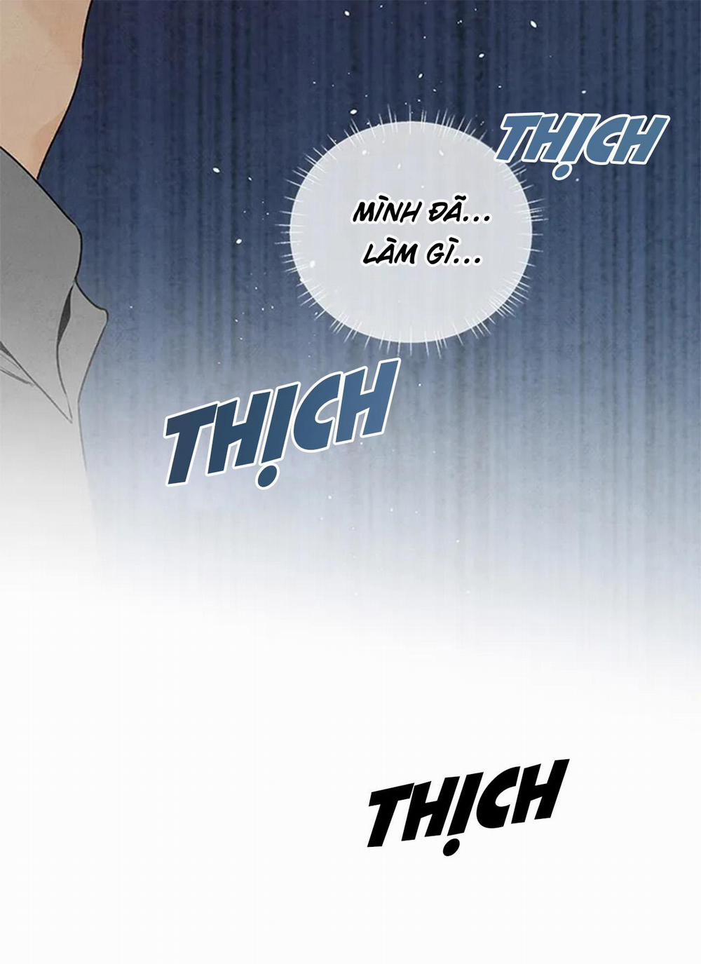 Bona Sort 65 trang 81