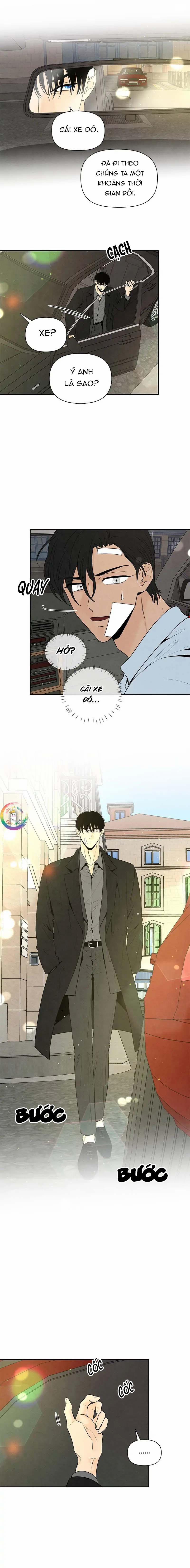 Bona Sort 66 trang 6