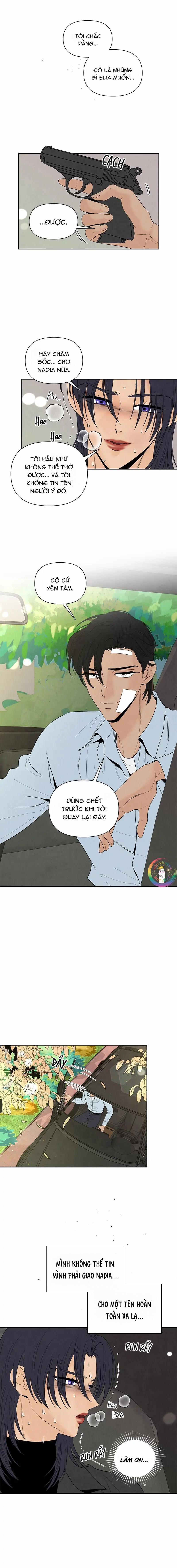 Bona Sort 67 trang 11