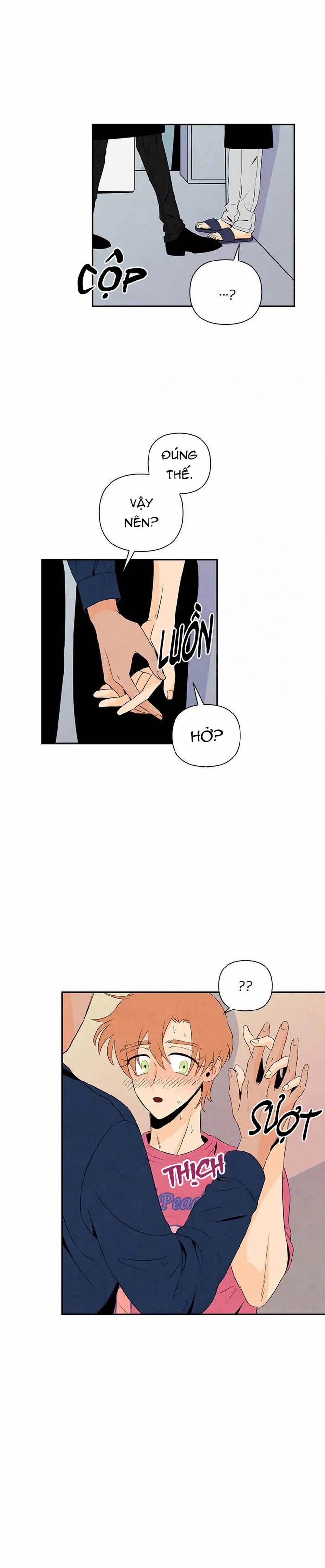 Bona Sort 7 trang 16