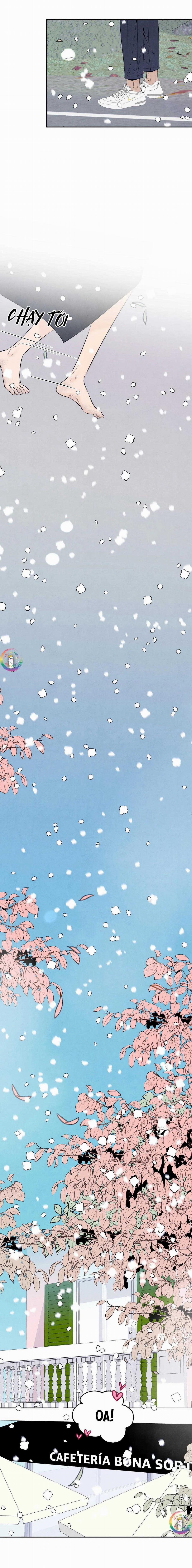 Bona Sort 70 trang 24