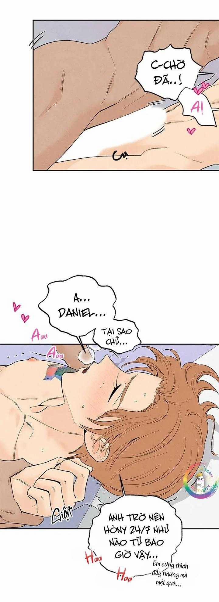 Bona Sort 71 trang 17