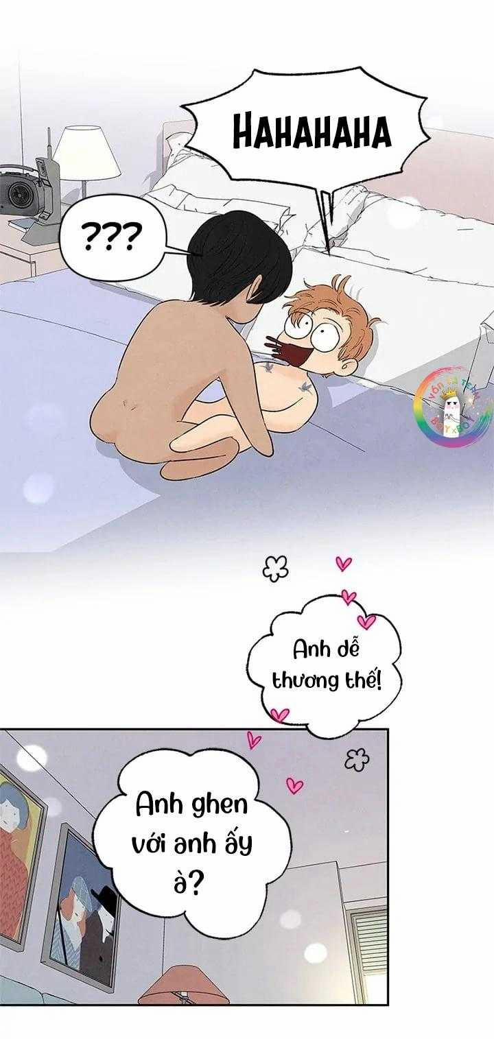 Bona Sort 71 trang 31